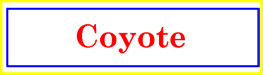 [Coyote]